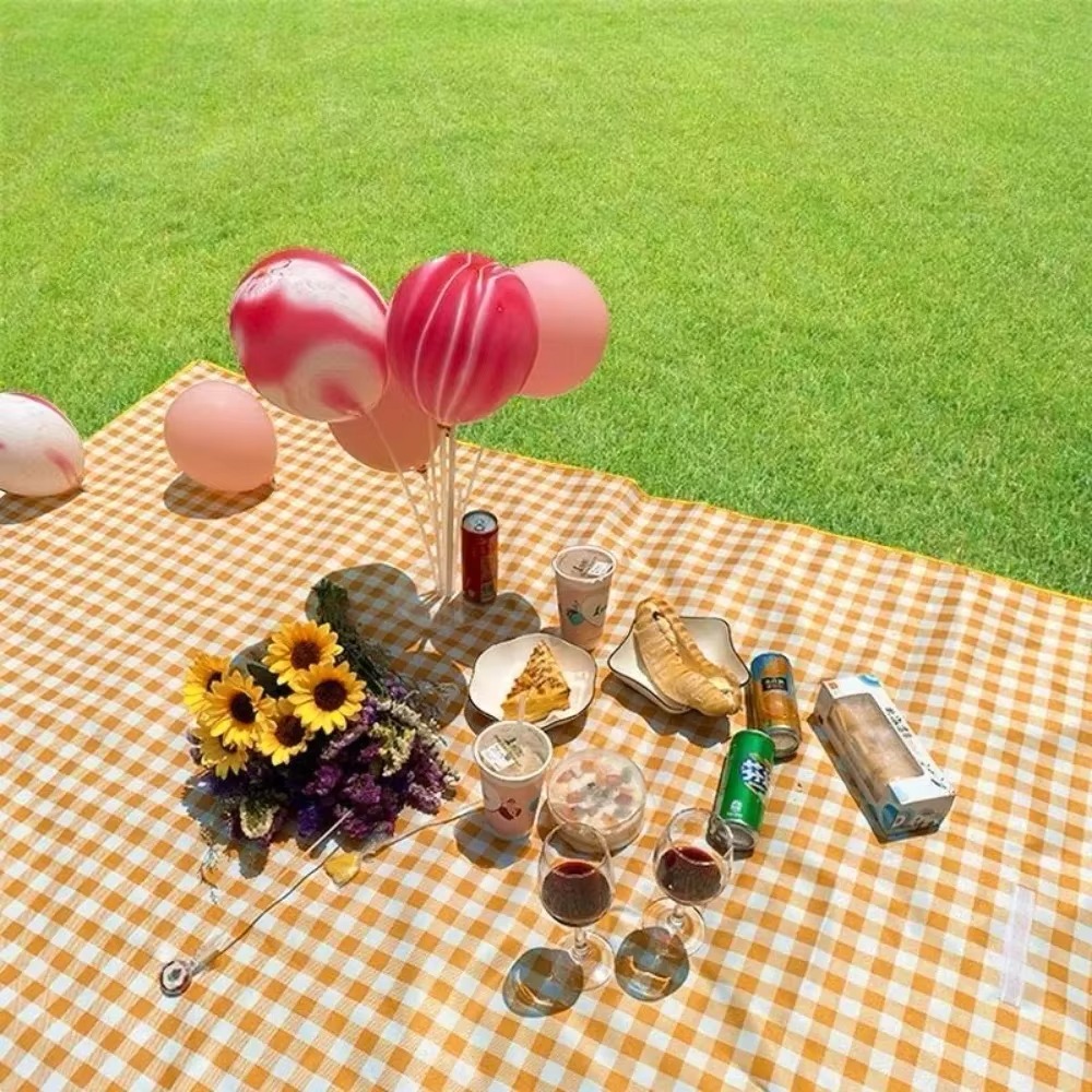 Outdoor Picnic Mat Thickened E - Outdoor Camping Heated Blanket avis et prix