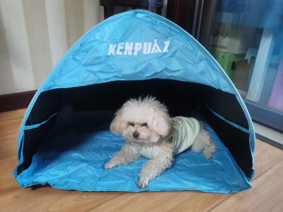 Hot Sale Tents Portable Easy F - Outdoor Camping Beds For Sale avis et prix